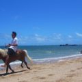 森と浜散歩（馬体験） 7