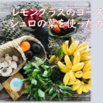 久米島町観光協会　体験プログラム〈島の学校〉　新プログラム登場！！